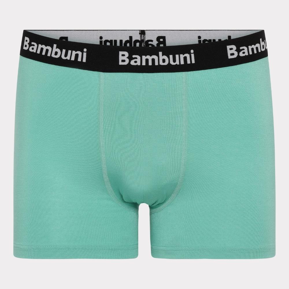 Forfærdeligt udrydde samarbejde Bambus underbukser i mint til mænd | Bambuni Denmark